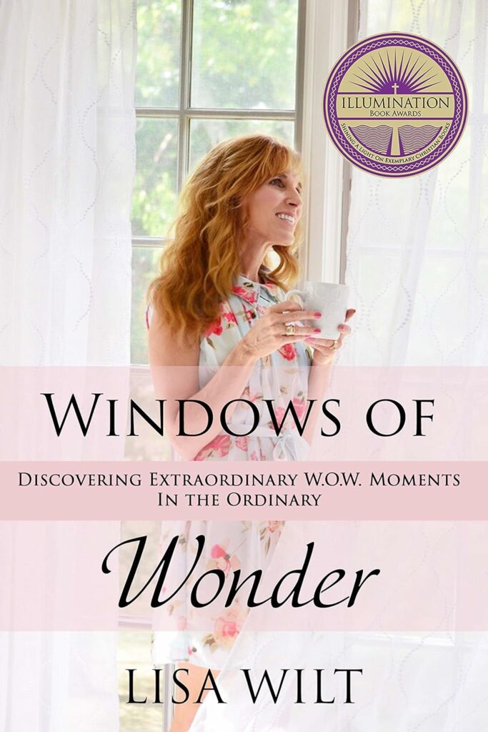 windows of wonder book cover